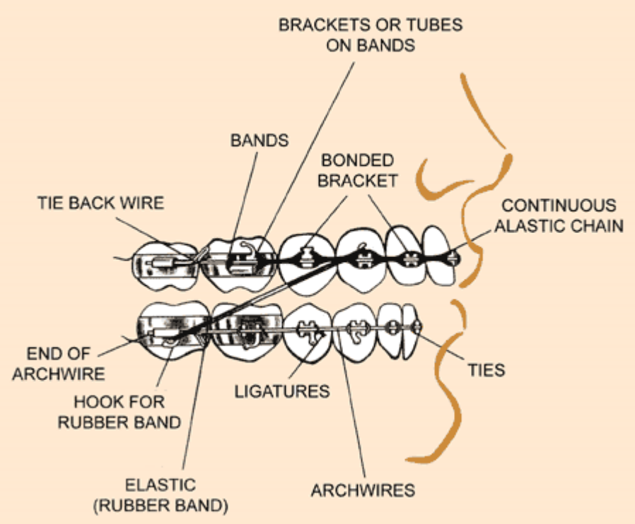 Emergency Dentist Norwalk CA